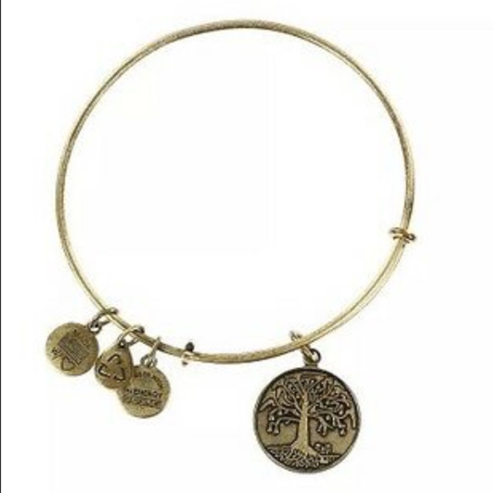 ALEX AND ANI "Tree of Life" Charm Bangle